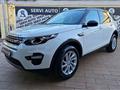 LAND ROVER DISCOVERY SPORT Discovery Sport 2.0 TD4 150 CV Auto Business Edition Pure