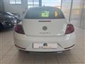 VOLKSWAGEN MAGGIOLINO 2.0 TDI DSG Design BlueMotion Technology