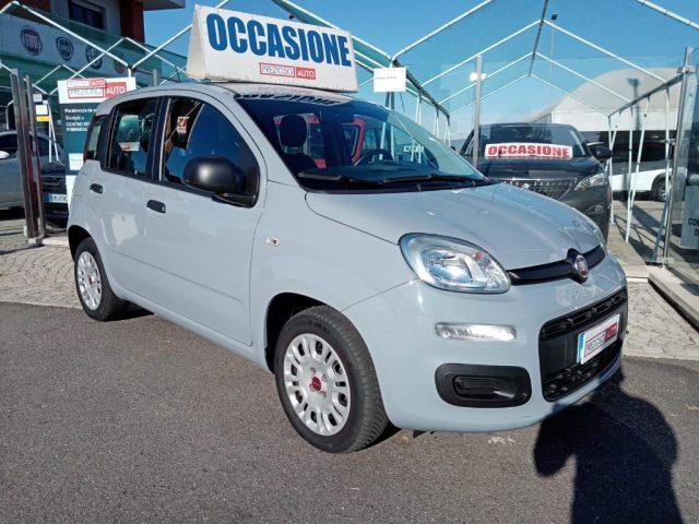 FIAT PANDA 1.2 EasyPower Easy