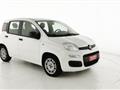 FIAT PANDA 1.2 EasyPower Easy - OK NEOPATENTATO