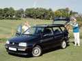 VOLKSWAGEN GOLF 2.0 GTI ISCRITTA ASI