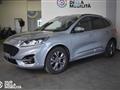 FORD KUGA 1.5 EcoBlue 120 CV 2WD ST-Line