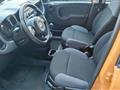 FIAT PANDA 1.2 Easy IDEALE PER NEO PATENTATI, IVA ESPOSTA