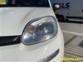 FIAT PANDA 1.2 Easy - 69CV - OK NEOPATENTATI