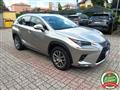 LEXUS NX Hybrid 4WD Luxury