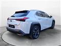 LEXUS UX Hybrid 4WD Premium