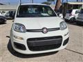 FIAT PANDA 1.2 Easy 69cv CLIMA MANUALE OK NEOPATENTATI