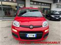 FIAT PANDA 1.0 FireFly S&S Hybrid Easy NEOPATENTATI