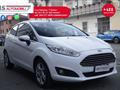 FORD FIESTA 1.0 80CV 3 porte Black & White Edition