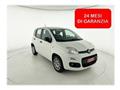 FIAT PANDA 1.2 EasyPower Easy - OK NEOPATENTATO