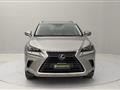 LEXUS NX 300h 2.5 Luxury 4wd cvt