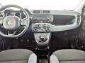 FIAT PANDA 1.2 EasyPower Easy - OK NEOPATENTATO