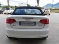 AUDI A3-CABRIO Cabrio 1.9 TDI F.AP. Ambition