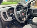 FIAT PANDA Lounge 1.2