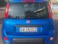 FIAT PANDA 1.0 FireFly S&S Hybrid Pandina