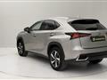 LEXUS NX 300h 2.5 Luxury 4wd cvt