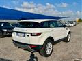 LAND ROVER RANGE ROVER EVOQUE 2.0 TD4 150 CV 5p. Pure auto+CONTO VENDITA