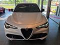 ALFA ROMEO STELVIO 2.2 Turbodiesel 210 CV AT8 Q4 Competizione