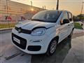 FIAT PANDA 1.0 FireFly S&S Hybrid Easy