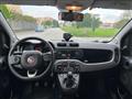 FIAT PANDA Lounge 1.2