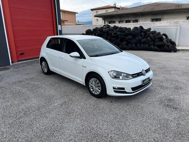 VOLKSWAGEN GOLF 1.4 TGI 5p. Trendline BlueMotion