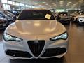 ALFA ROMEO STELVIO 2.2 Turbodiesel 210 CV AT8 Q4 Competizione