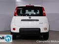 FIAT PANDA CROSS Panda 1.0 70cv Hybrid Panda My23