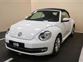 VOLKSWAGEN MAGGIOLINO Cabrio 2.0 TDI Design BlueMotion Technology