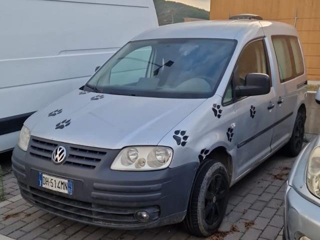 VOLKSWAGEN CADDY 1.9 TDI 105CV trasporto CANI 4p. Van AUTOCARRO N1