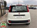 FIAT PANDA 0.9 TwinAir Turbo Natural Power- PER NEOPATENTATO