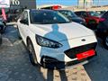 FORD Focus 1.5 EcoBlue 120CV 5p. Active