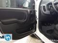 FIAT PANDA CROSS Panda 1.0 70cv Hybrid Panda My23