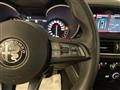 ALFA ROMEO STELVIO 2.2 Turbodiesel 190 CV AT8 Q4 Business