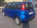 FIAT PANDA 1.0 FireFly S&S Hybrid Pandina