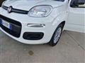 FIAT PANDA III 2016 1.2 Easy s&s 69cv my19