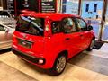 FIAT PANDA 1.2 EasyPower Easy