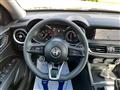 ALFA ROMEO STELVIO 2.2 Turbodiesel 160 CV AT8 RWD Super