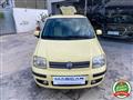 FIAT PANDA 1.2 Dynamic GPL #24 MESI DI GARANZIA