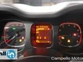 FIAT PANDA CROSS Panda 1.0 70cv Hybrid Panda My23