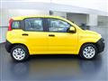 FIAT PANDA VAN Panda 1.3 MJT S&S Easy Van 4 posti