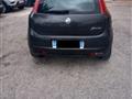 FIAT GRANDE PUNTO 1.2 5 porte Dynamic neopatentati