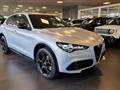 ALFA ROMEO STELVIO 2.2 Turbodiesel 210 CV AT8 Q4 Competizione