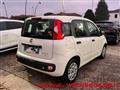 FIAT PANDA 1.0 FireFly S&S Hybrid NEOPATENTATI