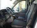 FORD TRANSIT 350 2.0TDCi EcoBlue 170CV PL-TM Furgone Trend