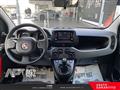 FIAT PANDA 1.0 firefly hybrid City Life s&s 70cv