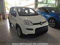 FIAT PANDA 1.0 FireFly S&S Hybrid Pandina