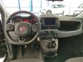 FIAT PANDA CROSS Panda Cross 1.0 FireFly S&S Hybrid