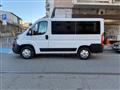 FIAT DUCATO -- 150 Multijet 2.3 D 8 POSTI