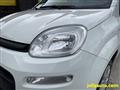 FIAT PANDA 1.2 69CV - OK NEOPATENTATI