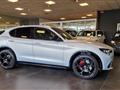 ALFA ROMEO STELVIO 2.2 Turbodiesel 210 CV AT8 Q4 Competizione